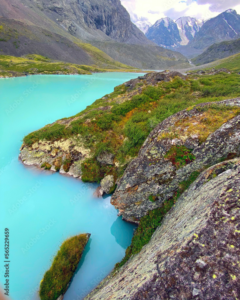 The turquoise transparent water of the Karakabak River flows out of the lake among the stones and grass in the Altai mountains under thick clouds. Vertical frame.