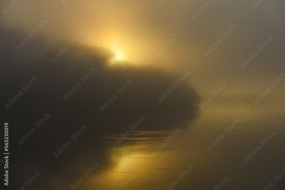 The sun rising behind the mist and the rainforest in the Guaporé-Itenez river, near the Ilha das Flores, Rondonia state, Brazil, on the border with the Beni Department, Bolivia	