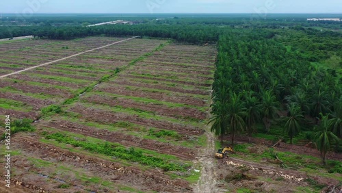 Aerial view capturing large hectares of land removed for monoculture oil palm tree plantations, sabrang estate sime darby next to sugai dingding river, global supply, Teluk Intan, Malaysia. photo