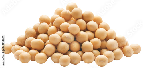 Stacked soybeans isolated photo