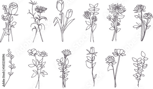 くすみカラーの手書き植物イラスト、ユル可愛い手書きの植物イラスト。植物の線画イラスト。
Dull color handwritten plant illustration, yuletide cute handwritten plant illustration. Line drawing illustration of plant.