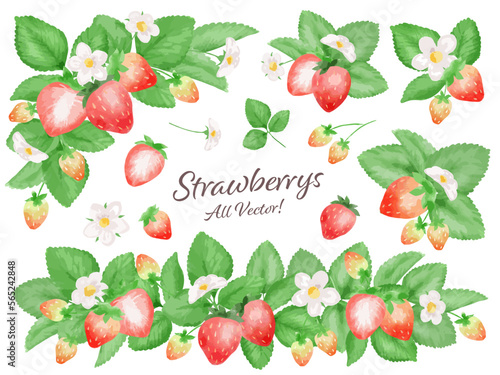 苺の水彩風ベクターイラストセット　主線なし