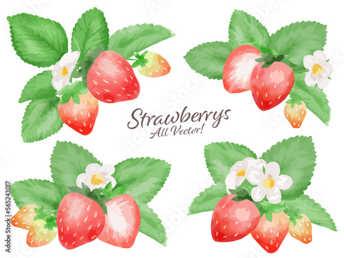 苺の水彩風ベクターイラストセット　主線なし