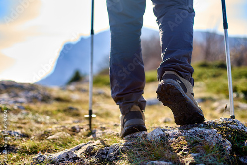 Tela Legs of a hiker in trekking boots walking in the mountains with Nordic walking poles closeup shot
