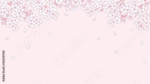 桜の線画の背景 ピンク