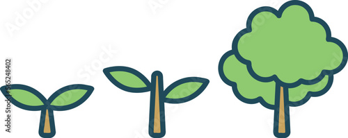 植物　成長