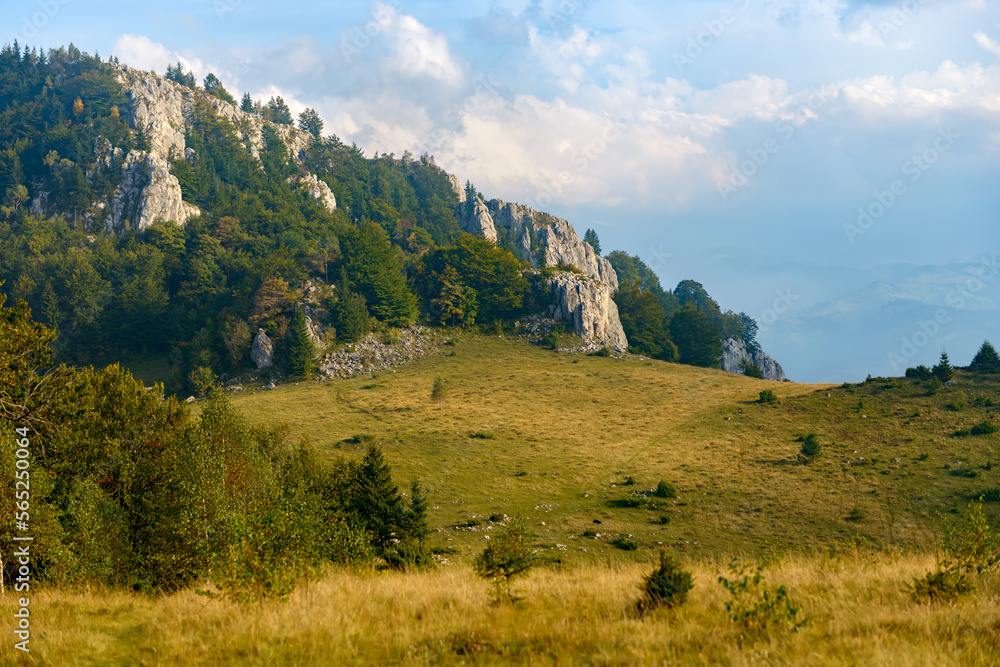 Beautiful alpine scenery of mountain grassy slopes and high cliffs and rocks covered with thick lush forests, cloudy hills and valleys in the background. Eco Travel and outdoor adventures concept