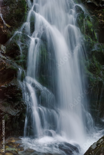 Fototapeta Naklejka Na Ścianę i Meble -  Beautiful mountain rainforest waterfall with fast flowing water and rocks, long exposure. Natural seasonal travel outdoor background with sun shining. Stream waterfall on rocks in the forest