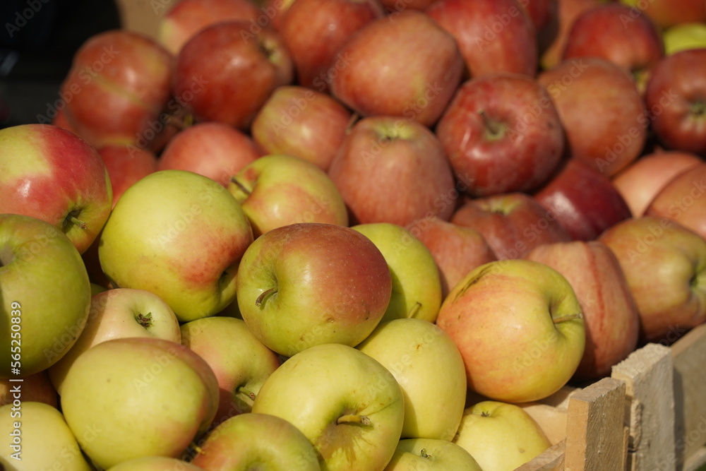 A huge number of fresh apples of different varieties on a big sale