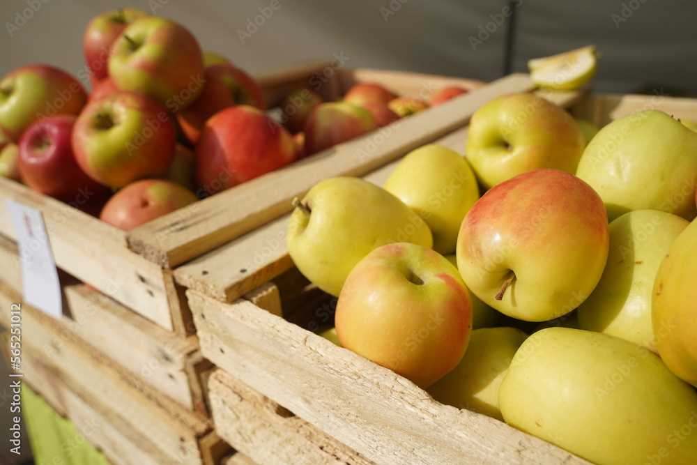 A huge number of fresh apples of different varieties on a big sale A huge number of fresh apples of different varieties on a big sale