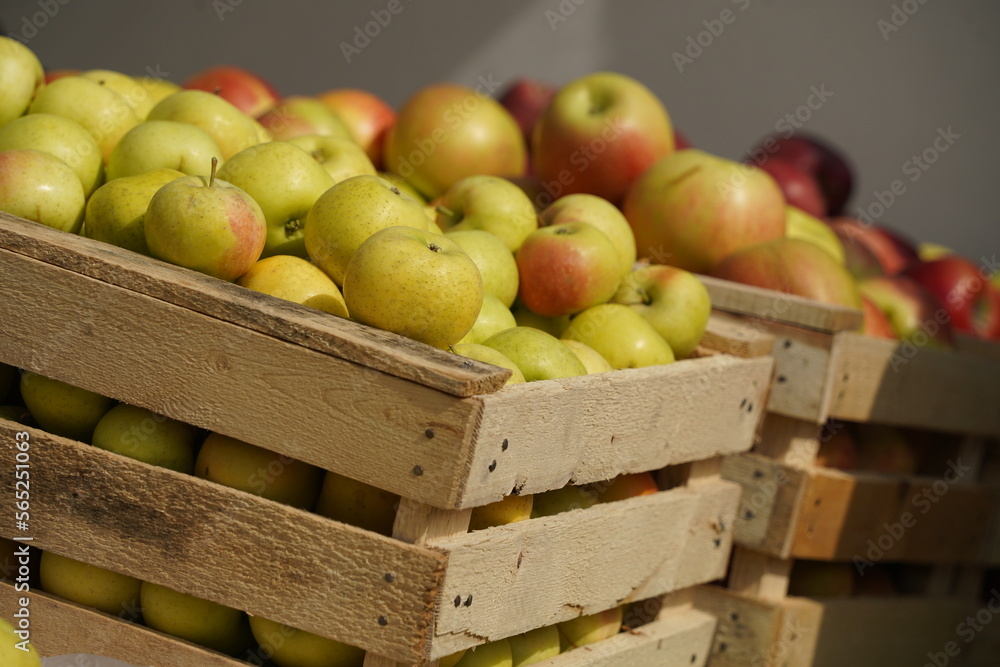 A huge number of fresh apples of different varieties on a big sale A huge number of fresh apples of different varieties on a big sale