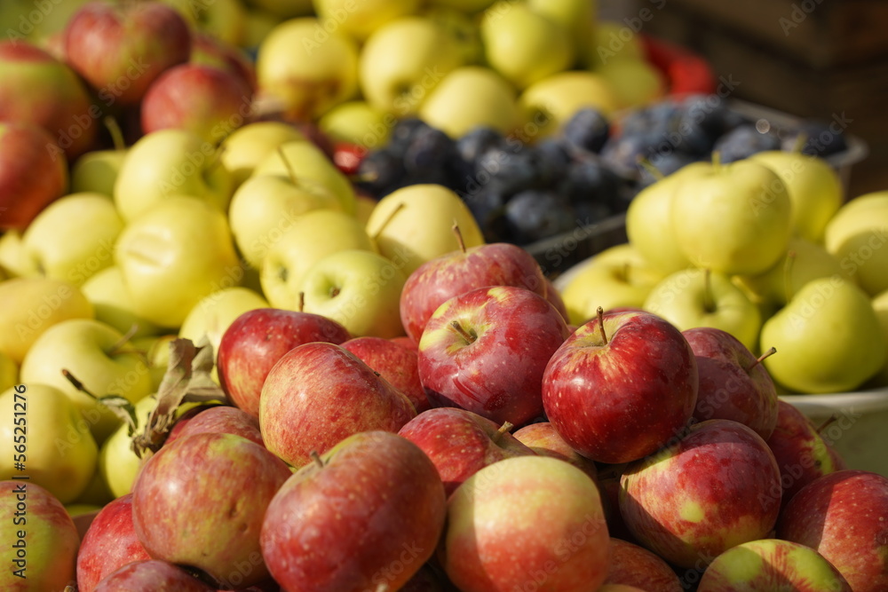 A huge number of fresh apples of different varieties on a big sale A huge number of fresh apples of different varieties on a big sale