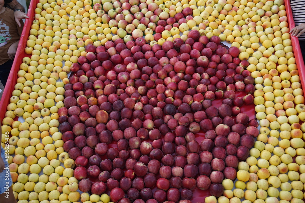 A huge number of fresh apples of different varieties on a big sale A huge number of fresh apples of different varieties on a big sale