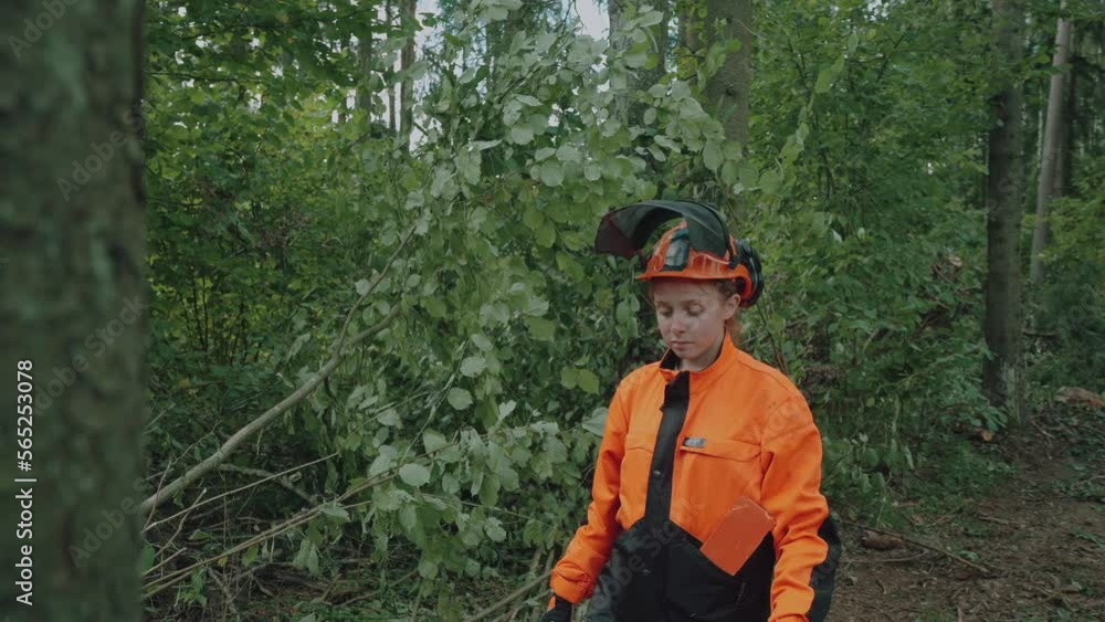 Young female logger standing near a pine tree, a young specialist woman in protective gear, works on deforestation, 4k slow motion. Young female logger standing near a pine tree, a young specialist woman in protective gear, works on deforestation, 4k slow motion.