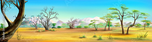 Savannah landscape with trees illustration
