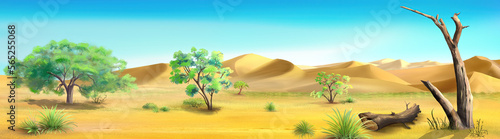 Savannah landscape with trees illustration