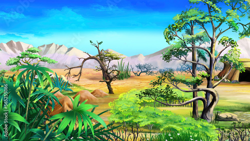 Oasis plants in desert area at day illustration