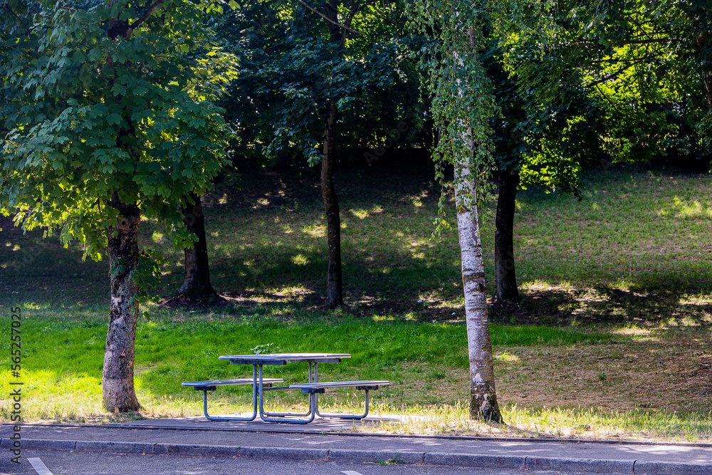 summer landscape picnic bench among the trees in the park on a sunny day