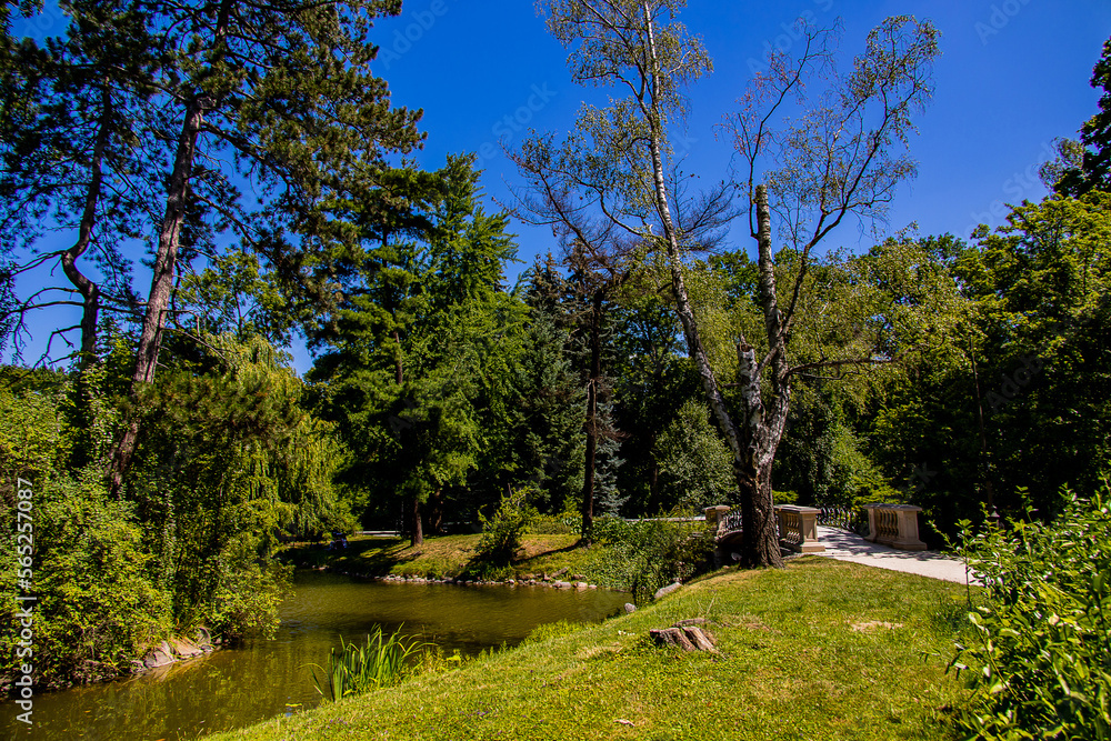  summer landscape with a pond Saski Garden Warsaw Poland green trees warm day