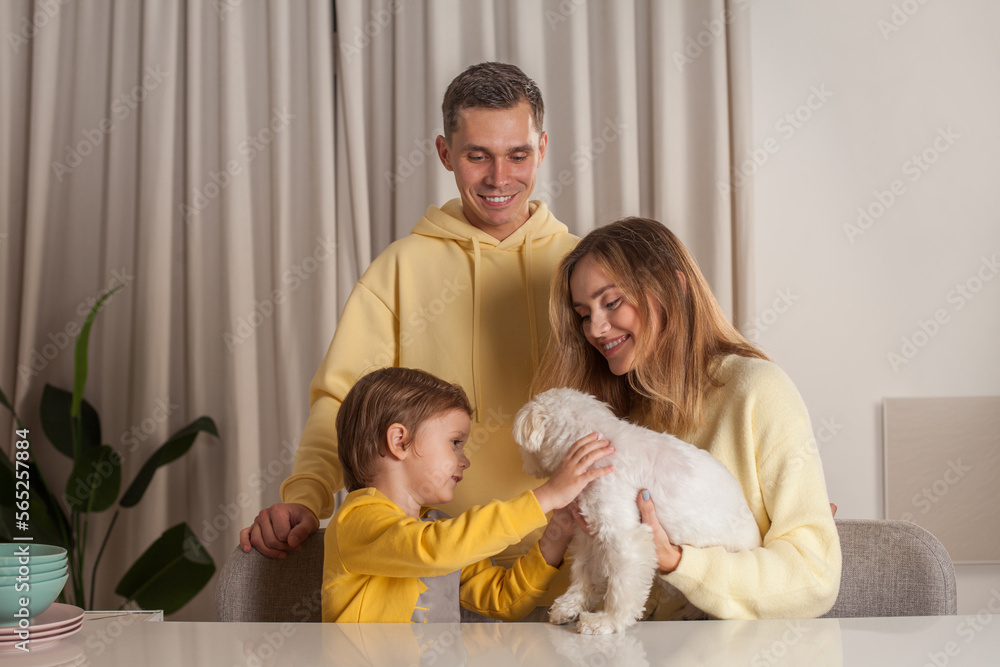 Family, mother and father with child son and small white dog