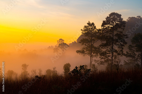 Aerial view background of sunlight , sunrise over mountain with fog over the ground in foreground savannah Meadow , Petchaboon province, Thailand,asia.Soft focus.
