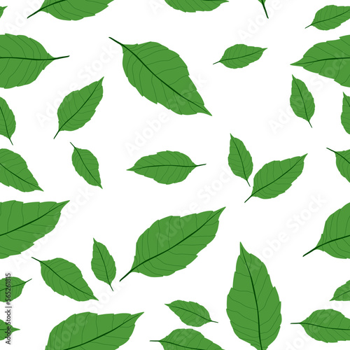 green leaf seamless pattern isolated on white background.