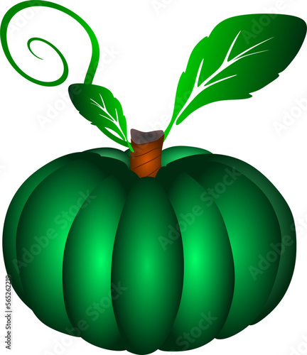 pumpkin with leaf. illustration of a pumpkin