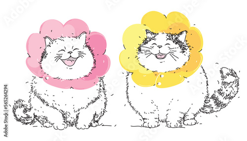 Smiling fat Cat in cone collar. Two white laughing kittens are wrapped in Elizabethan collar. Protection from licking for pet after treatment. Cone of shame. Veterinary concept, pet treatment and care