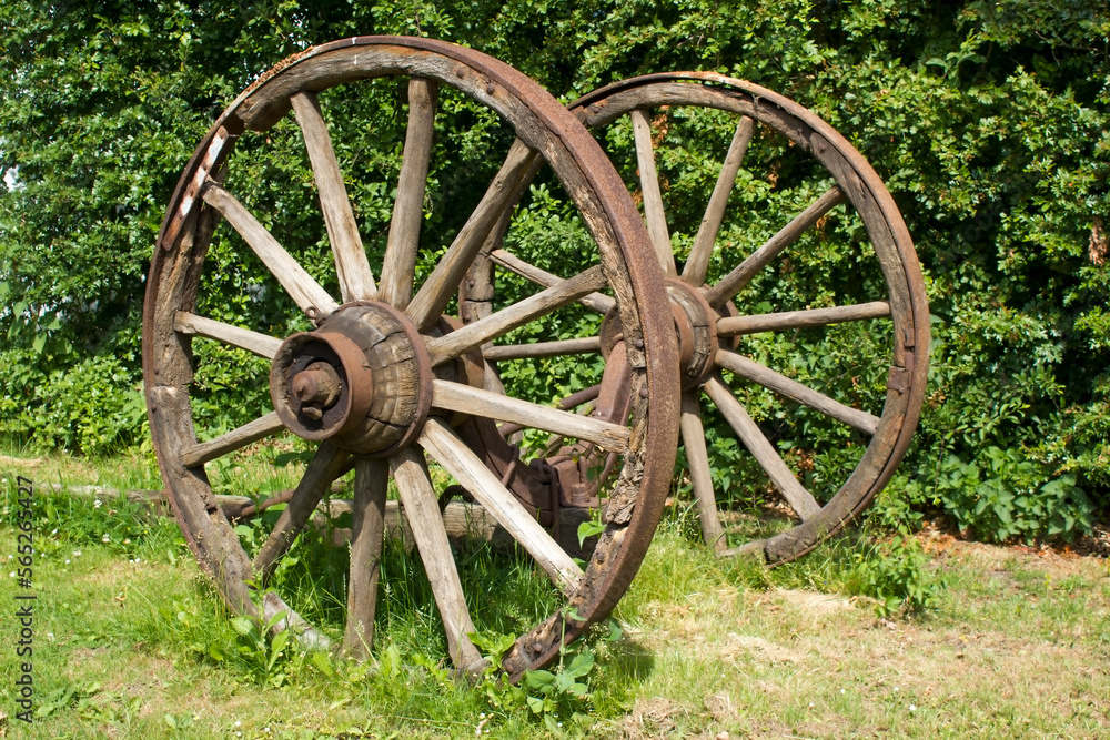 Rural wagon wheels in a garden