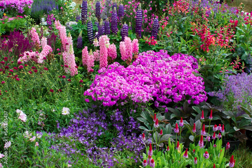 Obraz na płótnie flowers in a garden - exposition w salonie