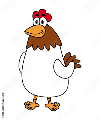 A white hen isolated in profile on a white background