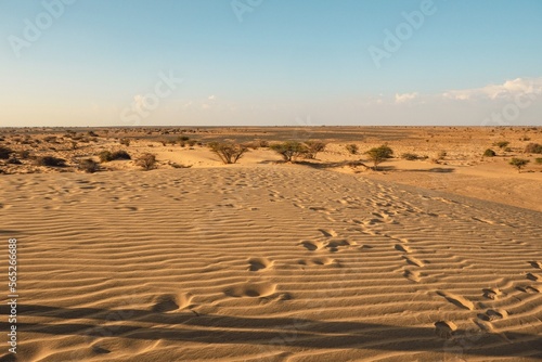 Scwnic view of North Horr Sand dunes in Marsabit County, Kenya