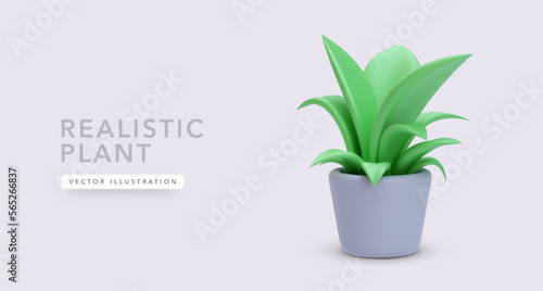 3d realistic plant in a flowerpot