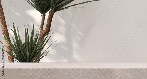 Soft beige cotton tablecloth on counter table, tropical dracaena tree in sunlight on white wall background for luxury fresh organic cosmetic, skincare, beauty treatment product display 3D