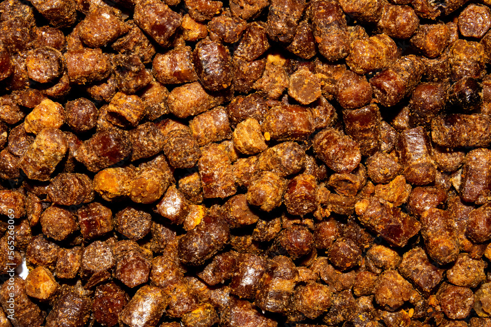 Obraz premium Perga.Bee bread.Bee pollen is compacted.Pollen collected by bee.Background of perga