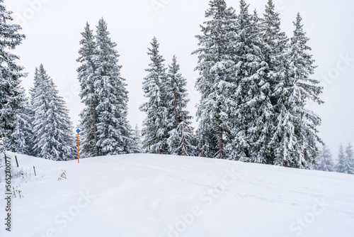 Wintry landscape in Austrian Alps near Jochberg. Winter in Austria © beataaldridge