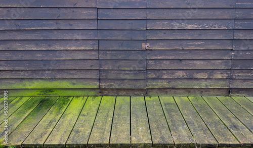 Rustic background. Detail of a tool shed. A lockable door. Dark wooden wall covered with green algae.