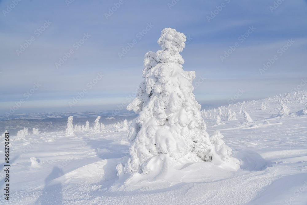 Winter landscapes in the mountains. Karkonosze in Poland in winter.