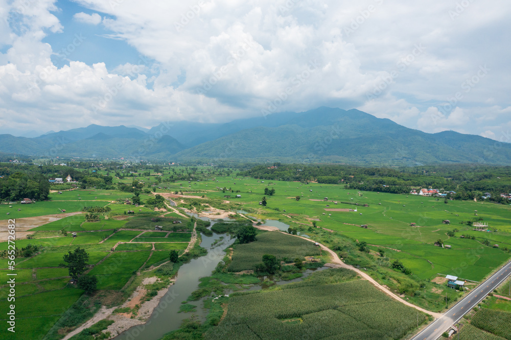 Obraz premium Aerial view of green rice field at countryside village in Nan province, Thailand.
