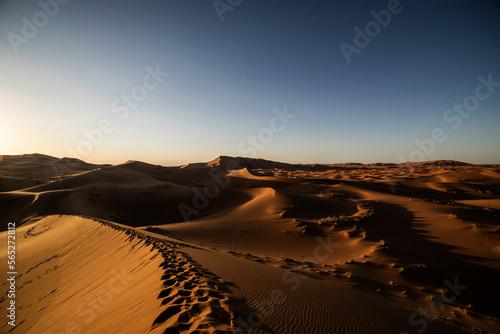 sand dunes in the desert - sahara - morocco