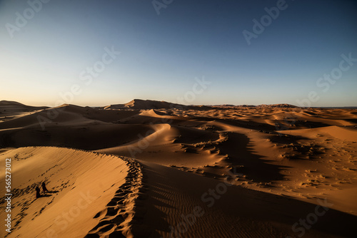 sand dunes in the sahara desert at sunset