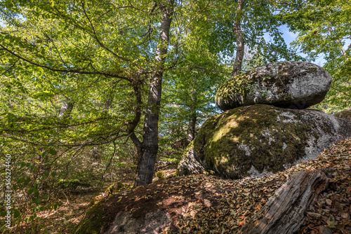 Wackelstein Kultort bei Regenstauf in der Oberpfalz bei Regensburg im Wald mit Kette zum ziehen und wackeln, Deutschland photo