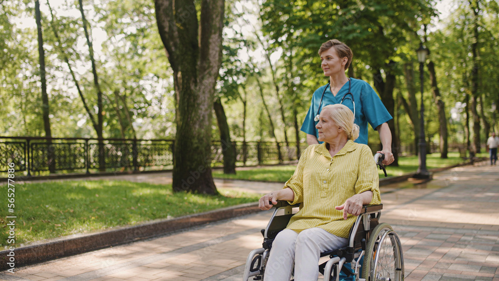 Fototapeta premium Female nurse pushing wheelchair with senior woman patient, nursing home services, health