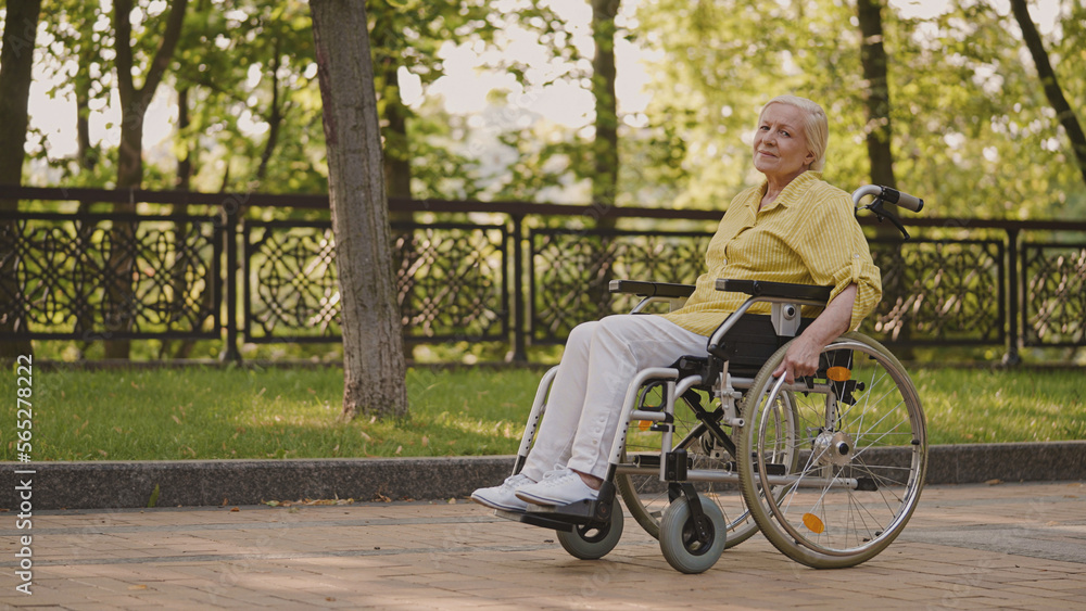 Senior woman with disability sitting in wheelchair in park, social care and protection Senior woman with disability sitting in wheelchair in park, social care and protection