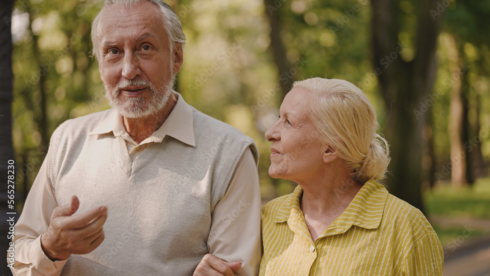 Nice senior couple walking in park, holding hands and smiling, relationship