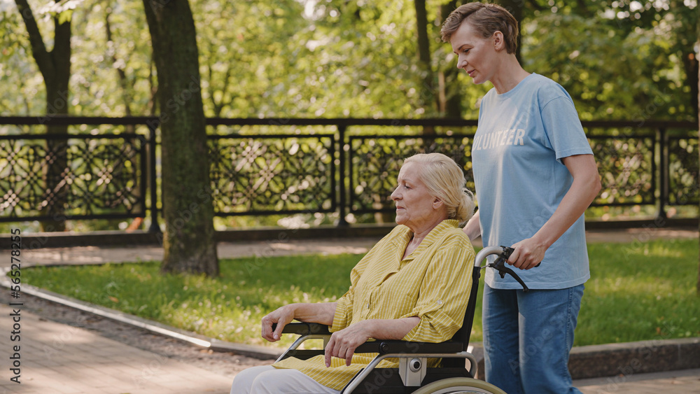 Young female volunteer pushing wheelchair, taking care of senior woman with disability, support Young female volunteer pushing wheelchair, taking care of senior woman with disability, support