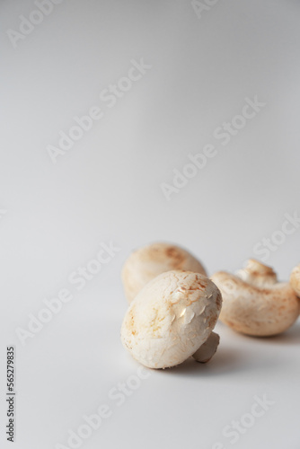 Champignons on a white background with an empty space
