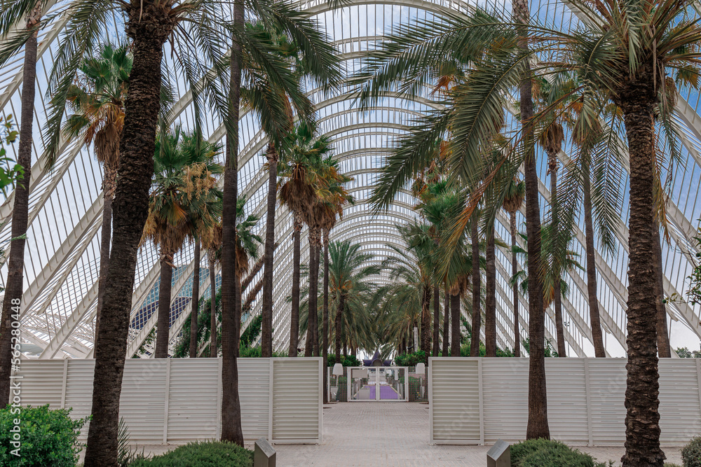 Valencia, Spain - july 2022: Exterior Structure of the Umbracle Modern ...
