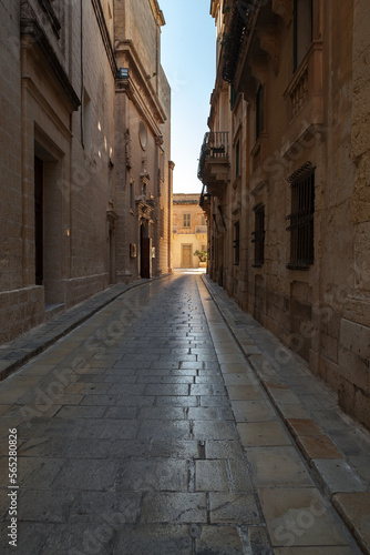 Fototapeta Naklejka Na Ścianę i Meble -  Vertical photo with a narrow street view of Mdina, Malta