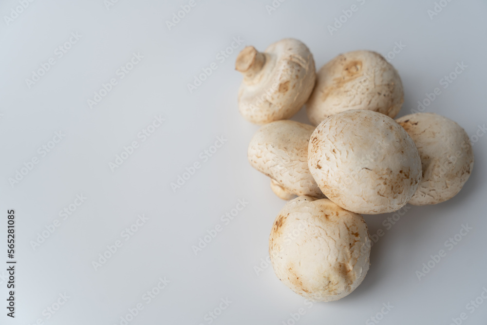 Champignons on a white background with an empty space Champignons on a white background with an empty space